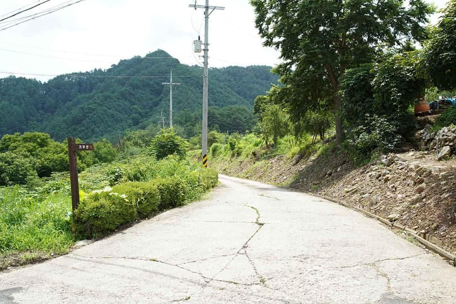 기우산(정선) (05)