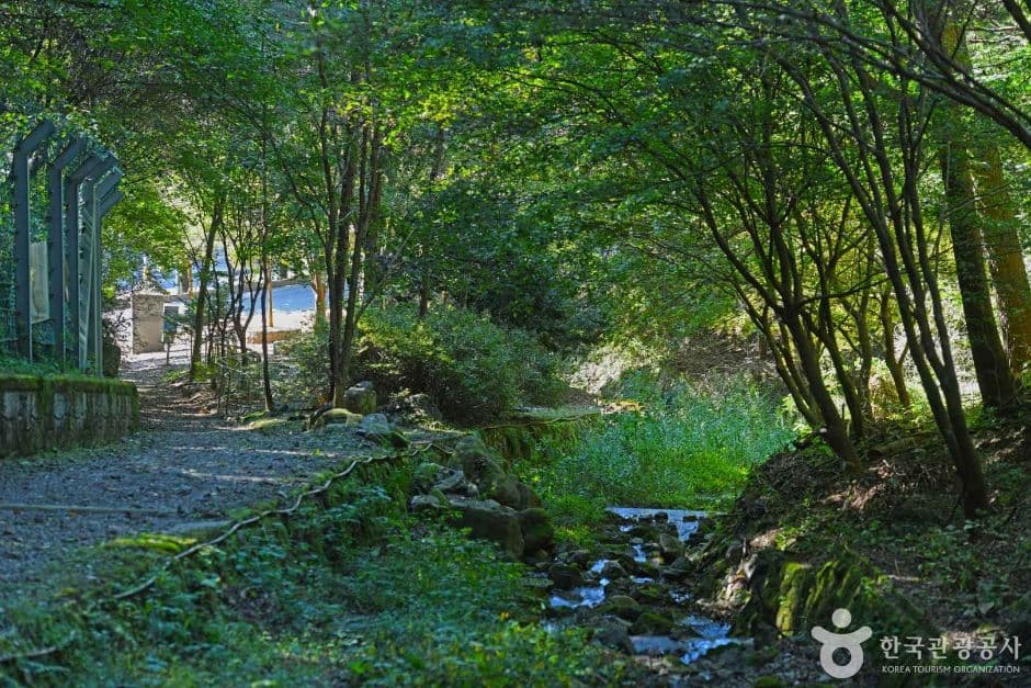 강원_화천_낭천산림욕장 (6)