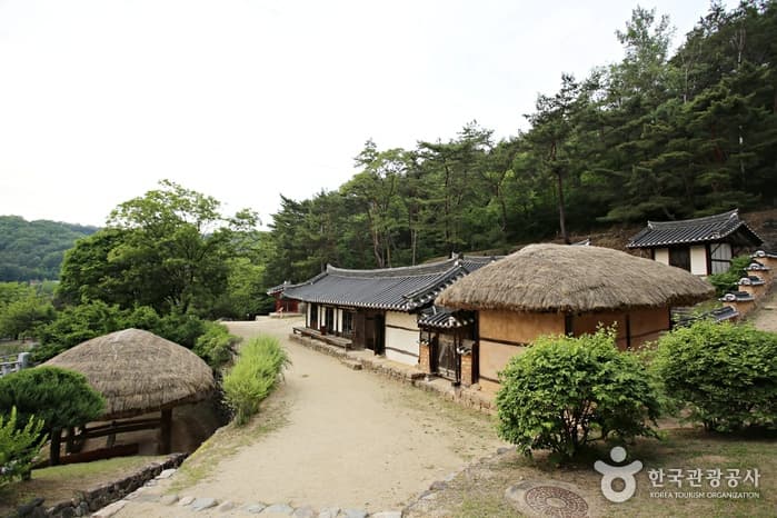 경북_안동_열대야 날려줄 달빛 야행, 안동 월영교와 낙동강음악분수_10