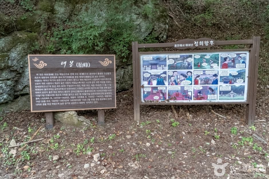 공작산생태숲 (6)