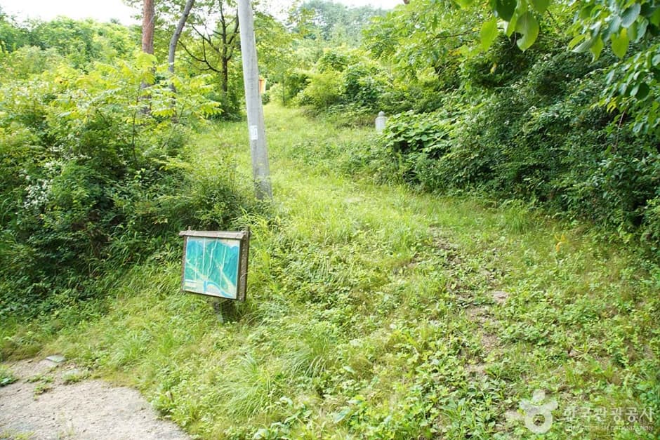 기우산(정선) (07)