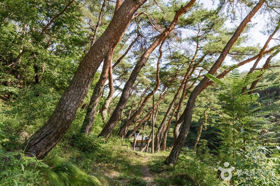 봉화_석천계곡 (3)