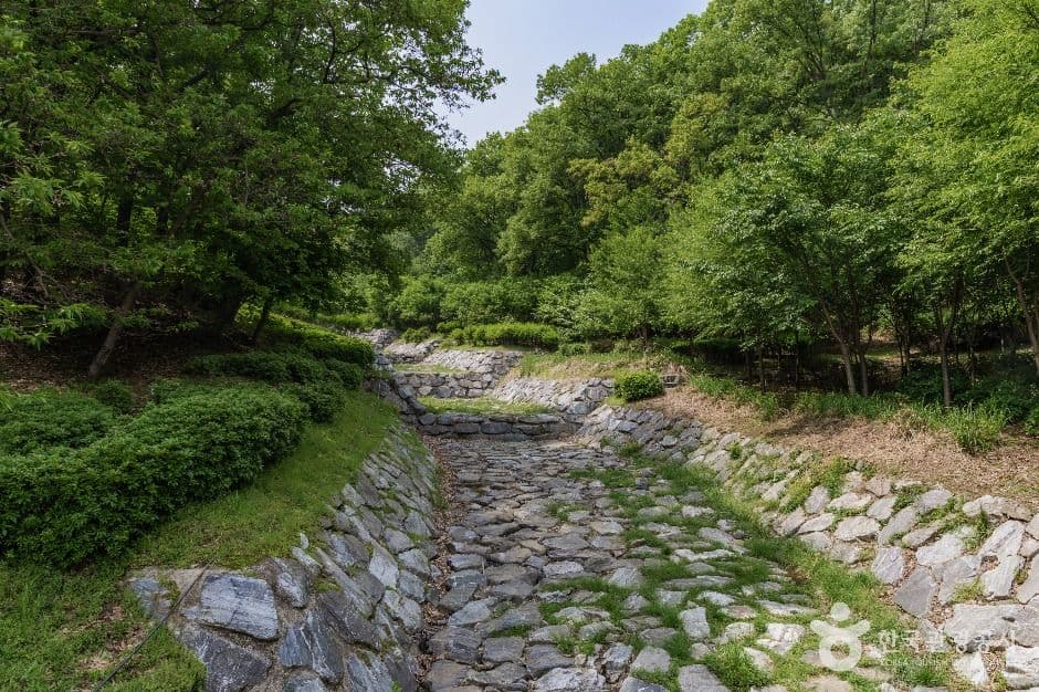 서울_우면산자연생태공원 (3)
