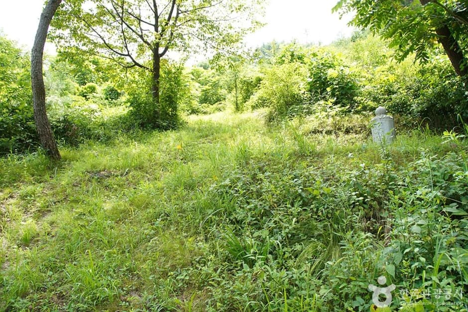 기우산(정선) (12)