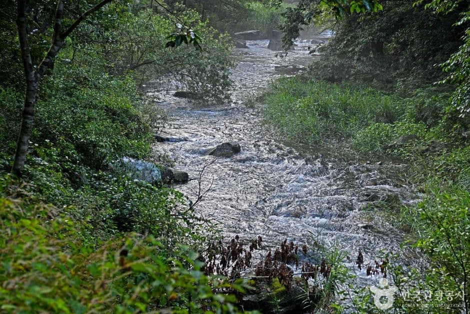 덕산계곡 (5)