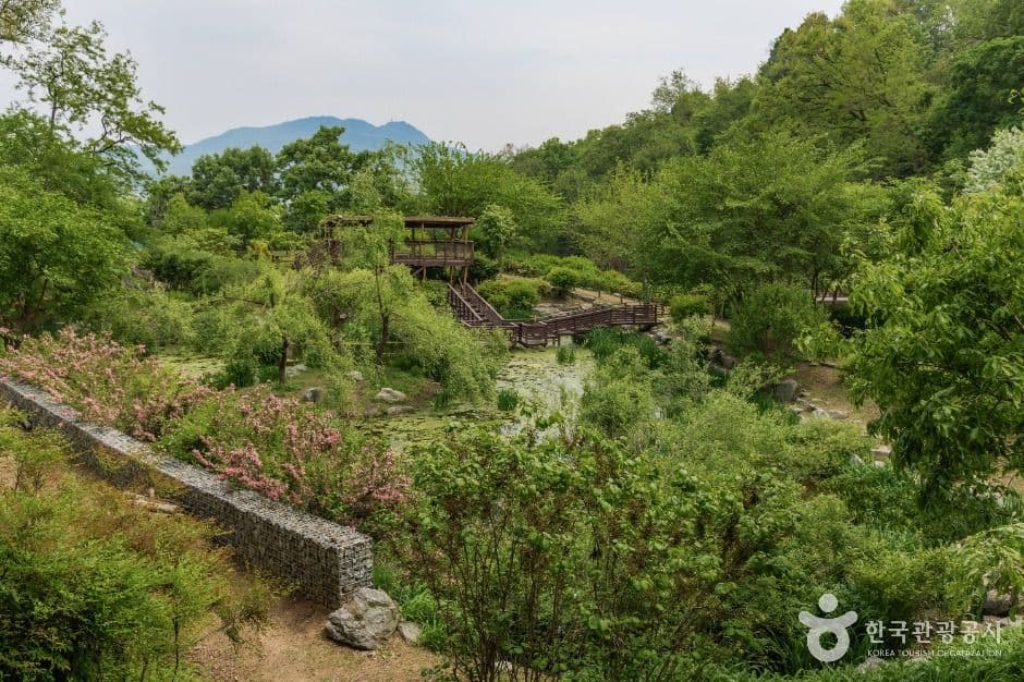 서울_우면산자연생태공원 (4)