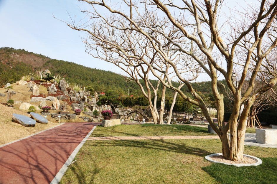 신안_천사섬 분재공원 (1).JPG