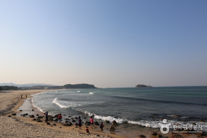 강원도_고성_화진포(바다낚시)03