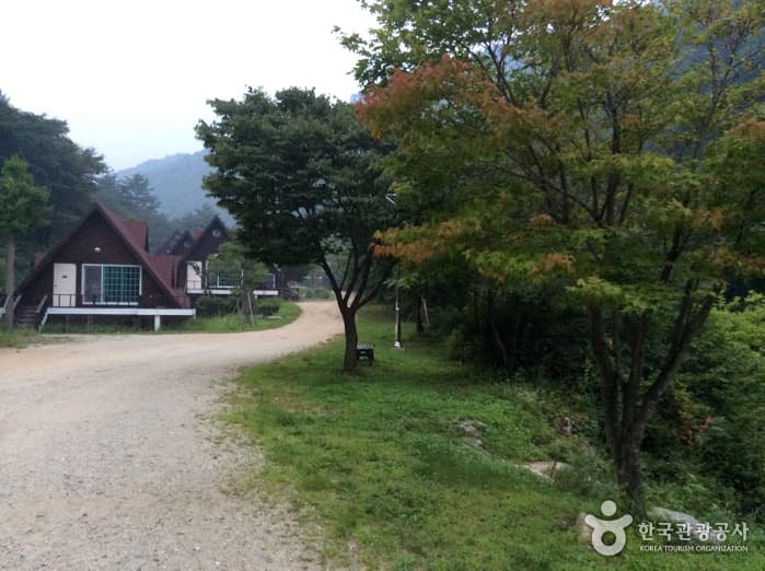 강원_양구_광치자연휴양림06