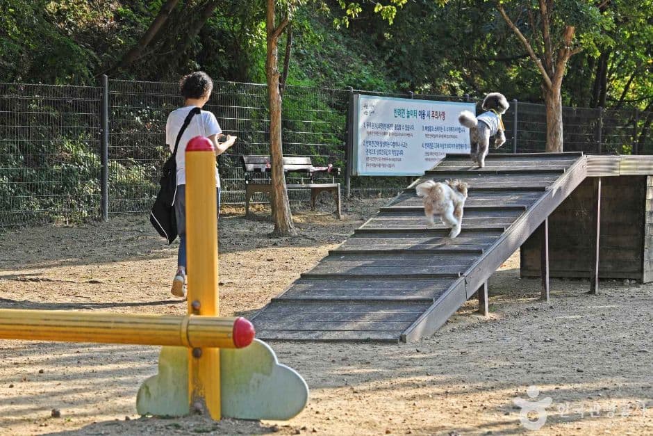 광교호수공원 반려견 놀이터 (3)