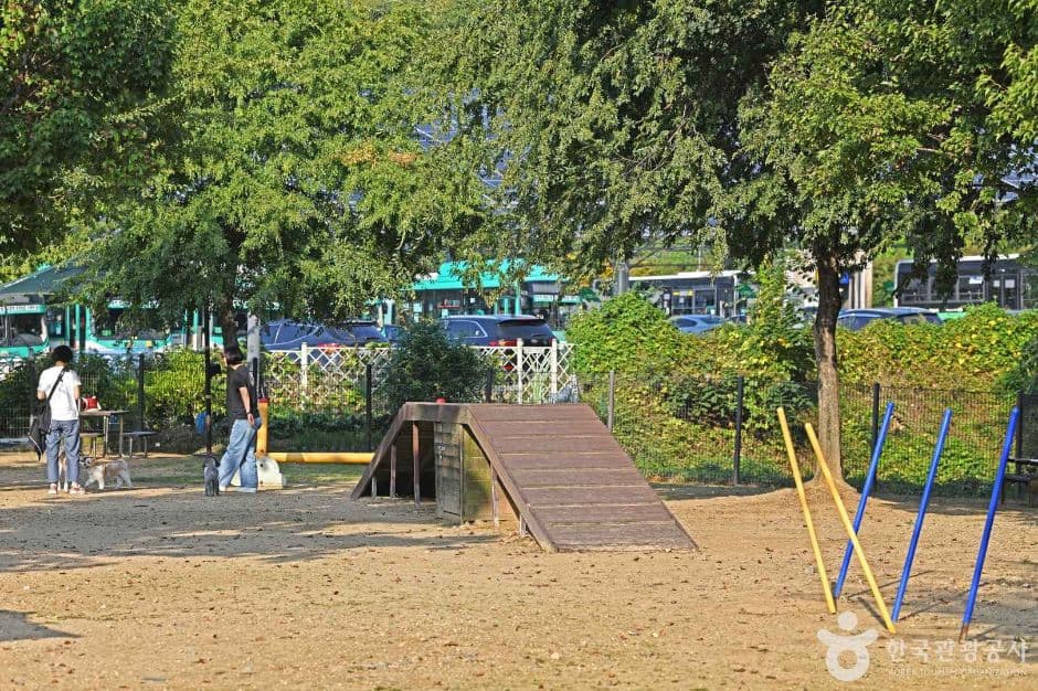 광교호수공원 반려견 놀이터 (7)