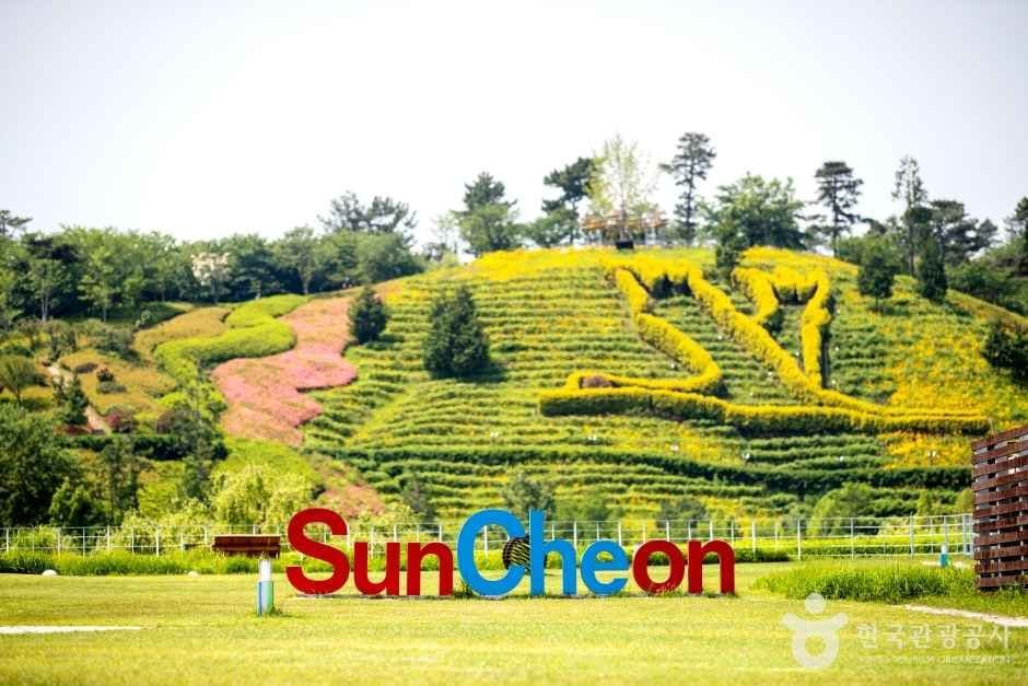 전라남도